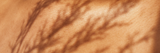 Glow All Over With Linden Leaves’ Cassis Berry Body Oil